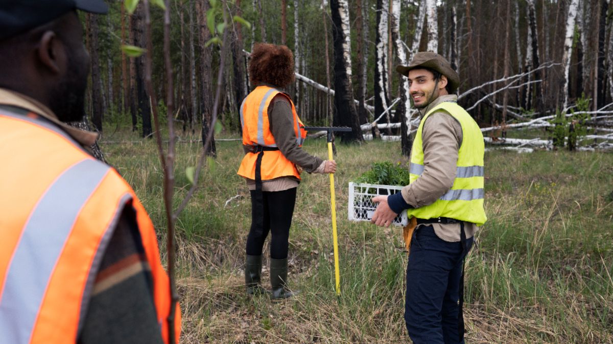 metal detecting in warner nhhttps://asa-leb.com/category/general/
