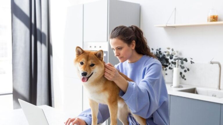 Pethardas com: Connecting Pet Lovers and Elevating Pet Care