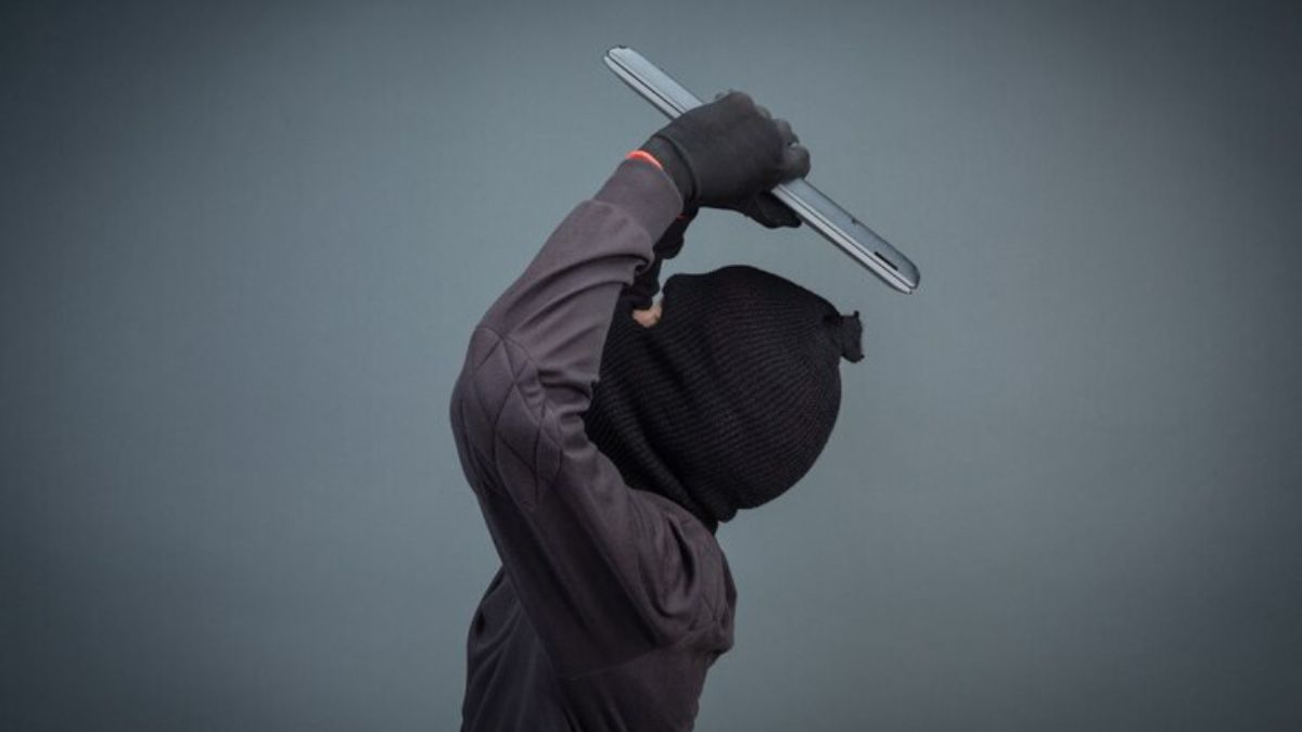 lwedninja