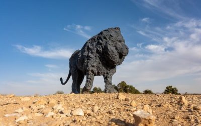 Cheetah, Lion and Buffalo Sculptures Unveiled in Riyadh Park