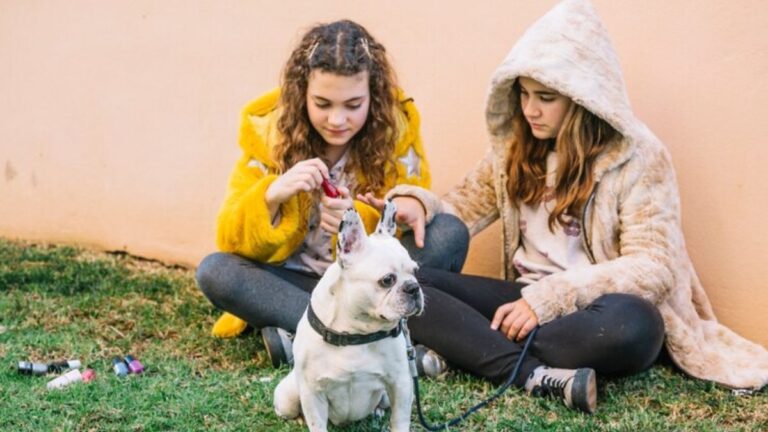 Puppygirlxd: Revolutionizing Puppy Care for Pet Lovers