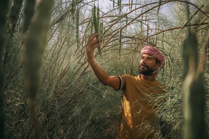 The Rise Of Saudi Arabia's Peregrina Oil In Beauty